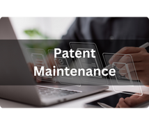 Patent Maintenance