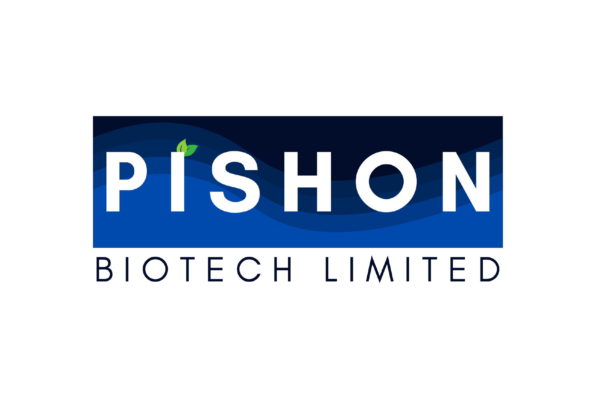 Pishon
